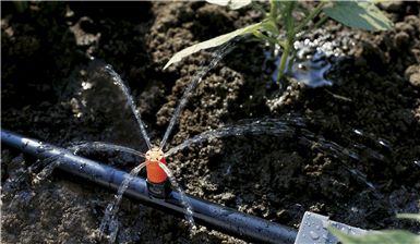 Small Area Spray Nozzle 