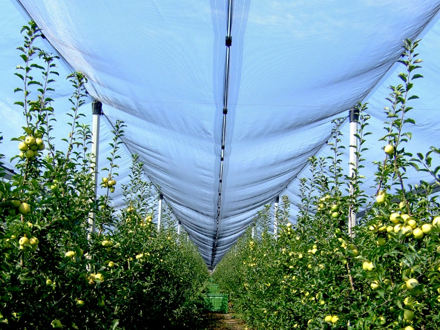 Hail Net 2x10m Nortene