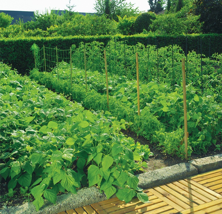 Vertical cucumber net 5m Nortene