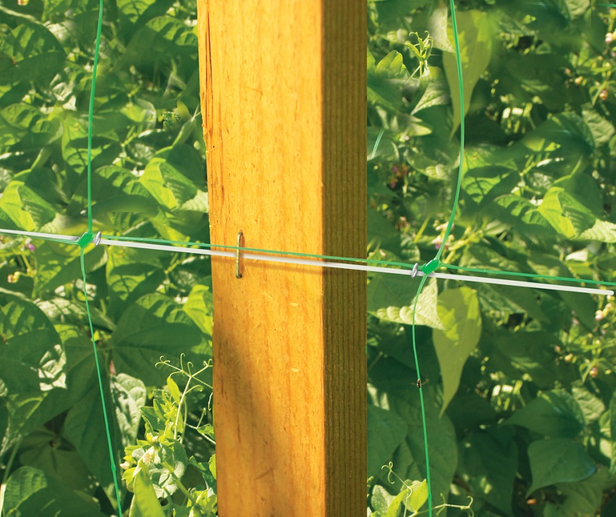 Vertical cucumber net 50m Nortene