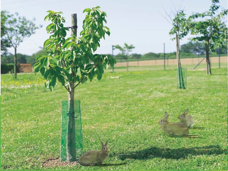 Nortene Protectnet Fruit Net