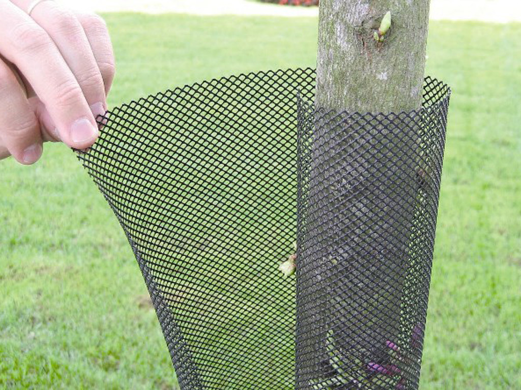 Nortene Flexguard 11x80cm spiral wood net