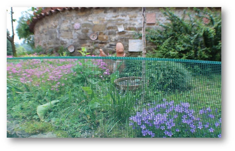 Plastic net Nortene Minisquare 1x5m