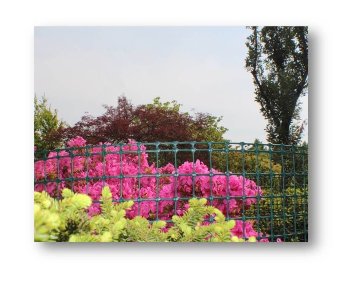 Plastic net Nortene Megasquare 1x5m