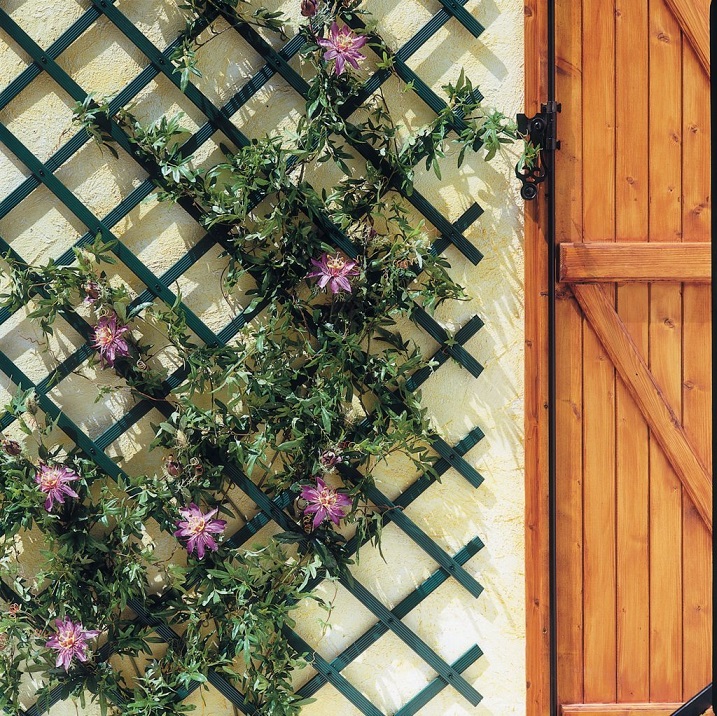 Plastic trellis Nortene