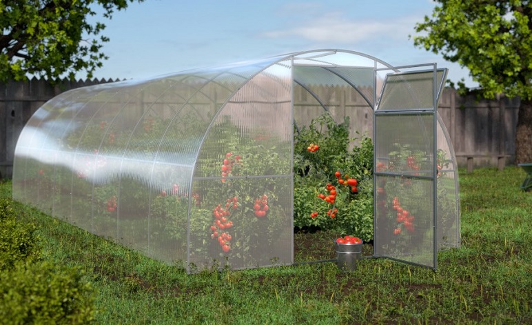 Greenhouse Primaterra Standart 3x10x2m.