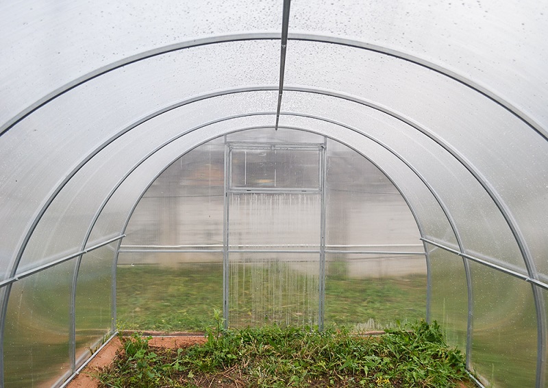 Greenhouse Primaterra Light 3х4х2,1м.