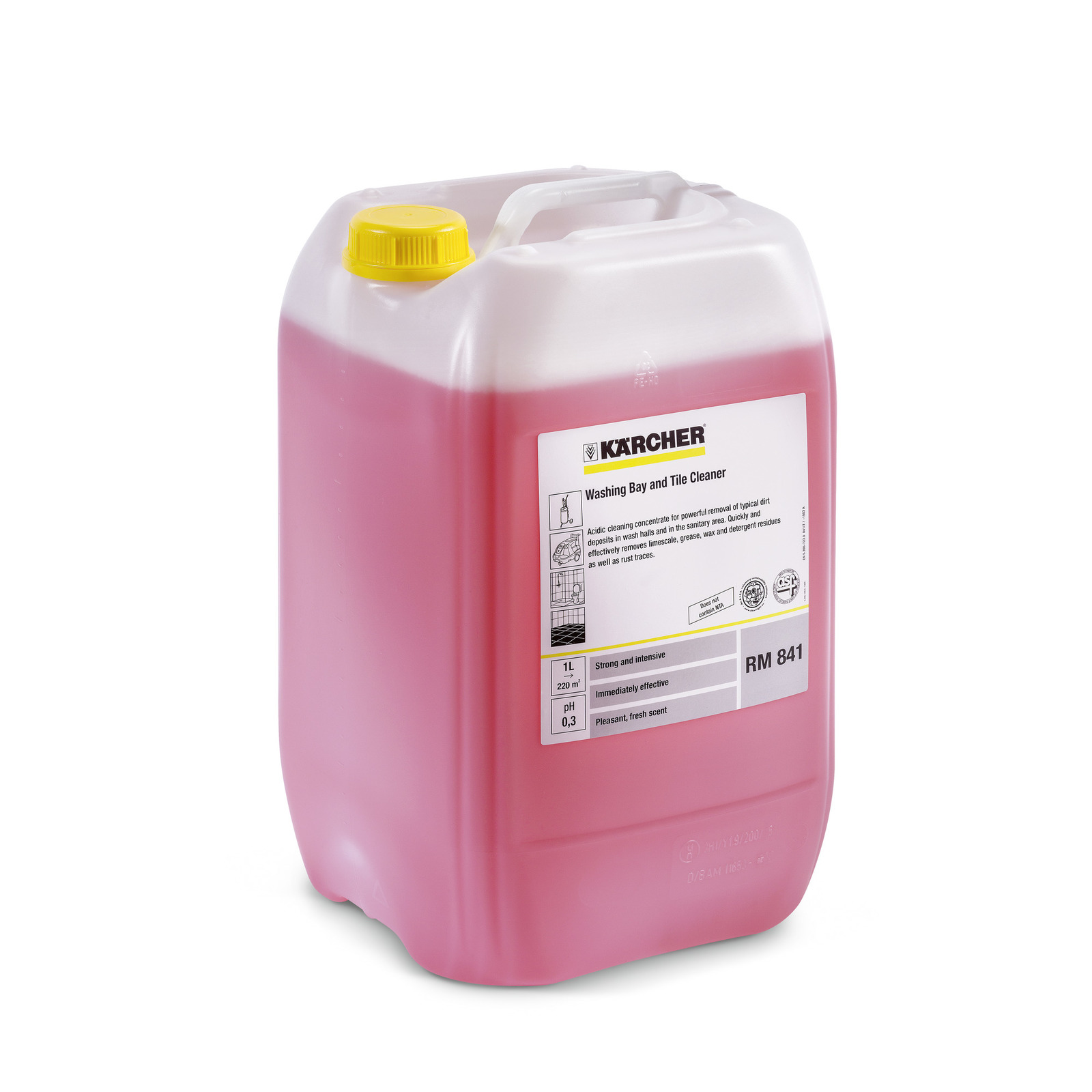 Karcher VehiclePro Washing Bay and Tile Cleaner RM 841