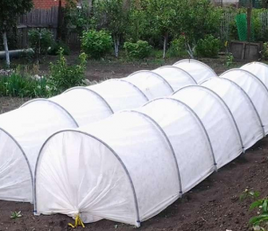 Greenhouse Primaterra Letto 8m 1pcs.