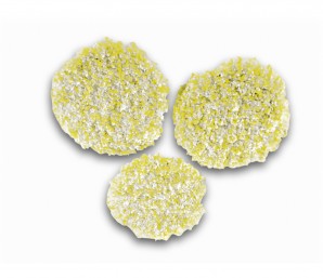Karcher Polishing pads for stone/linoleum/PVC 3pcs