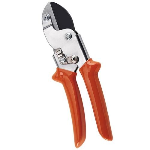 Scissors