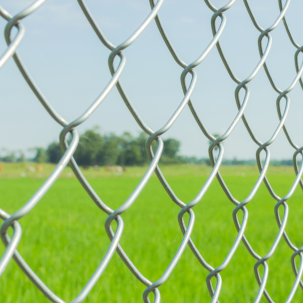 Knitted fence mesh, H0,80м, Mesh 55х55мм, Ф2,10mm 10 metres