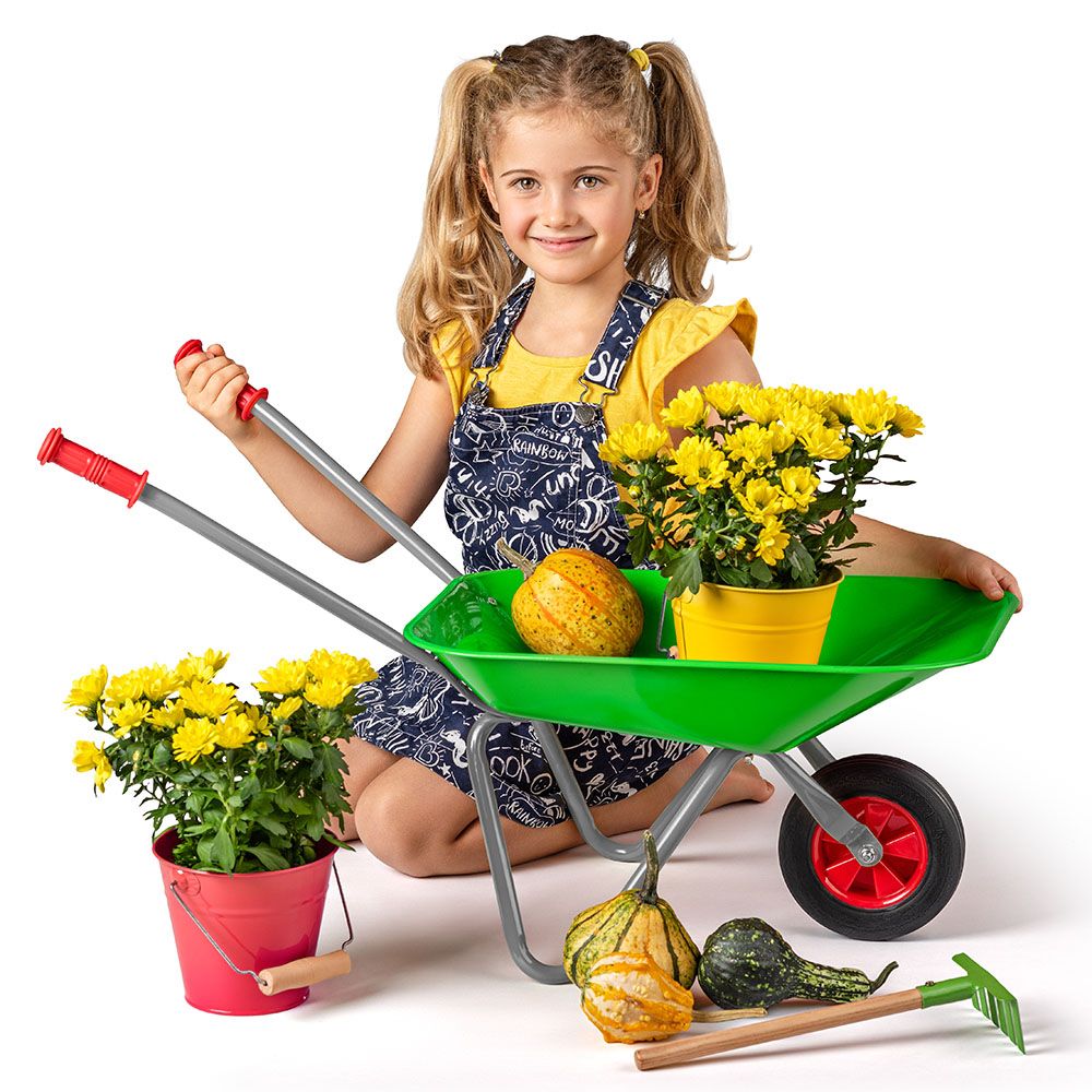 Kids Stroller Garden Trolley BIG TJZ РК-01