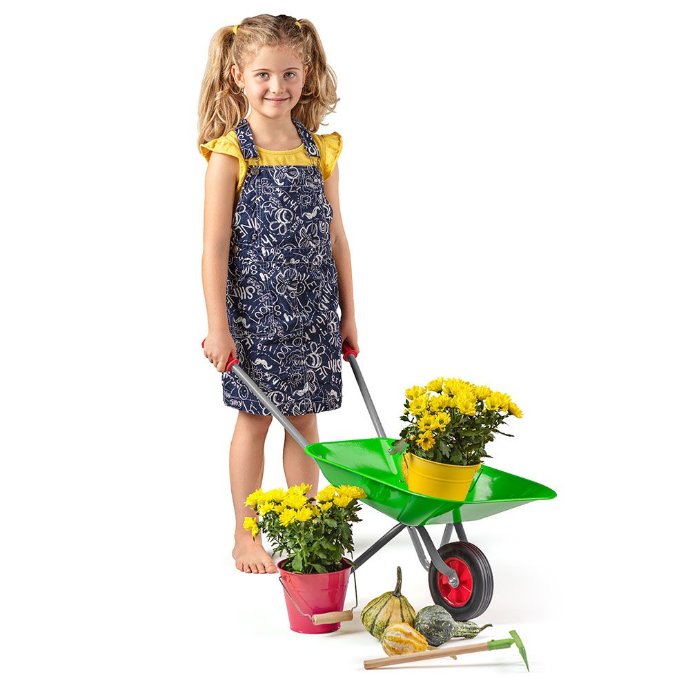 Kids Stroller Garden Trolley BIG TJZ РК-01