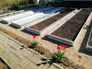 Primaterra Zinc Garden Bed 1 x 0.65 x 0.2 m, Galvanized Steel, Grey
