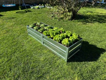 Primaterra Zinc Garden Bed 1 x 0.65 x 0.2 m, Galvanized Steel, Grey