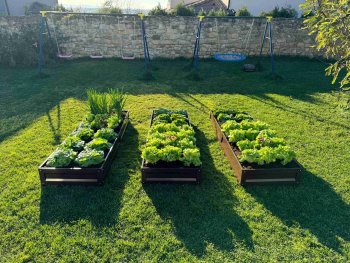 Primaterra Choco Garden Bed 1 x 0.65 x 0.2 m, Galvanized Steel, Brown