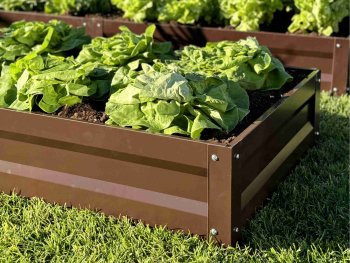 Primaterra Choco Garden Bed 1 x 0.65 x 0.2 m, Galvanized Steel, Brown