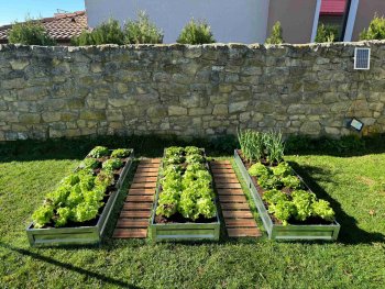 Primaterra Zinc Garden Bed 1 x 1 x 0.2 m, Galvanized Steel, 7.6 kg