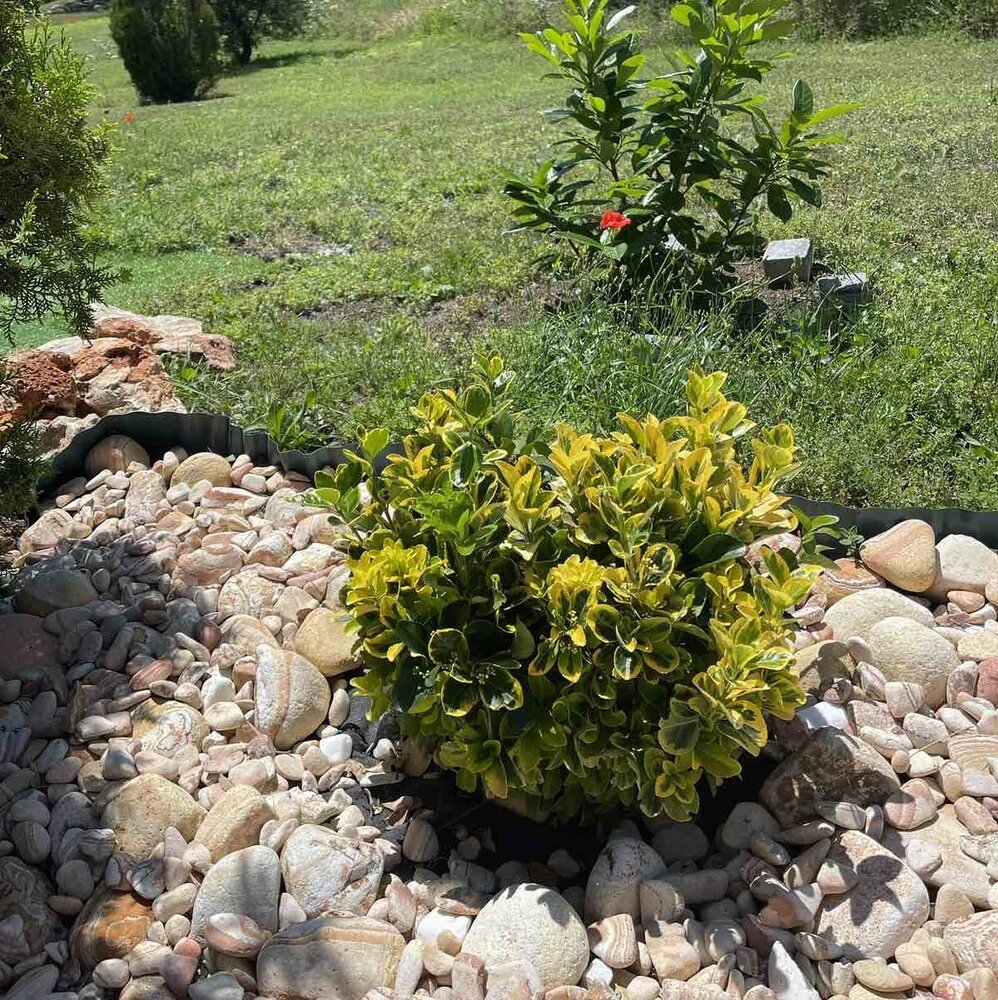 Rainbow Decorative Sandstone Pebbles 1 Ton for Garden and Yard