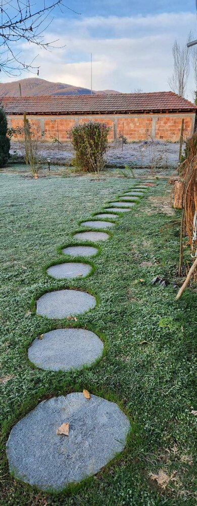 MAXI Natural Gneiss Japanese Garden Stepping Stone over 45 cm - Price per Piece