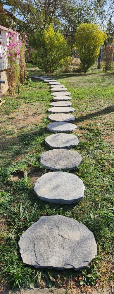 MAXI Natural Gneiss Japanese Garden Stepping Stone over 45 cm - Price per Piece