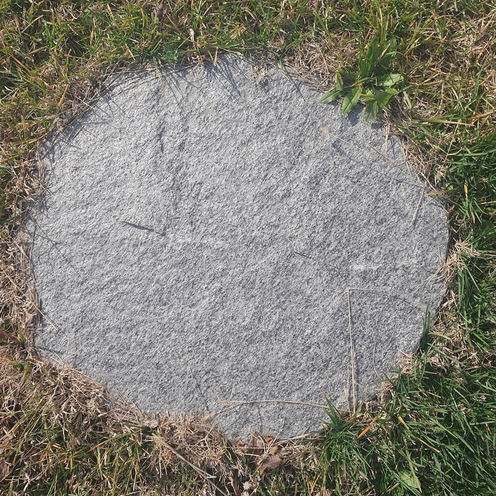 MAXI Natural Gneiss Japanese Garden Stepping Stone over 45 cm - Price per Piece