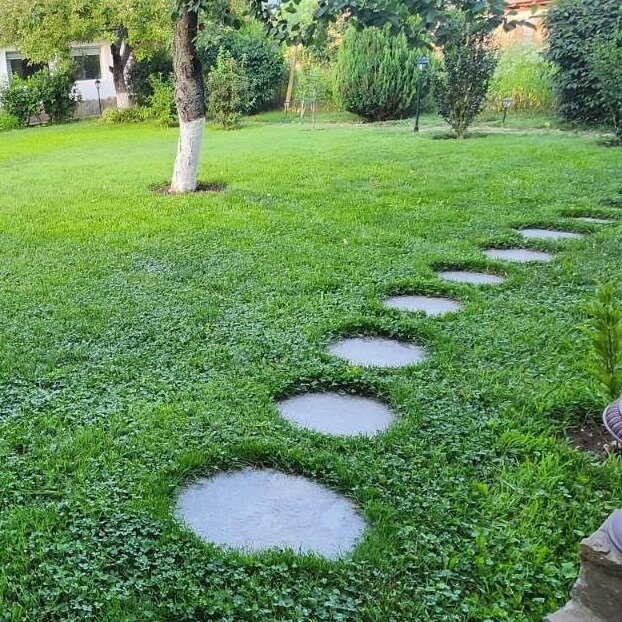 Natural Gneiss Garden Stepping Stone 35–45 cm - Price per Piece