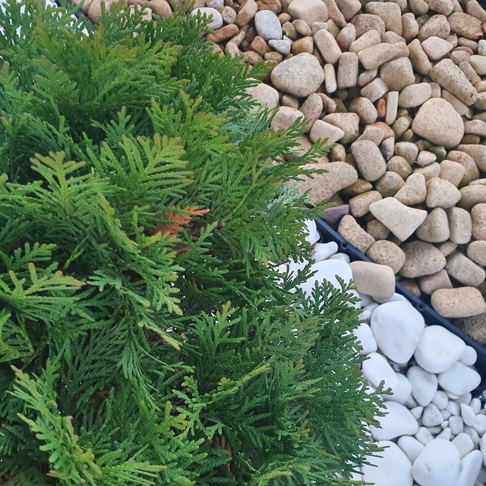 Beige Decorative Sandstone Pebbles 1 Ton for Garden and Yard