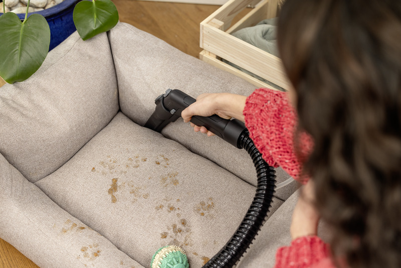 Спрей екстрактор Karcher SE 4 Plus за килими и тапицерия, 1000 W, 4 + 4 л
