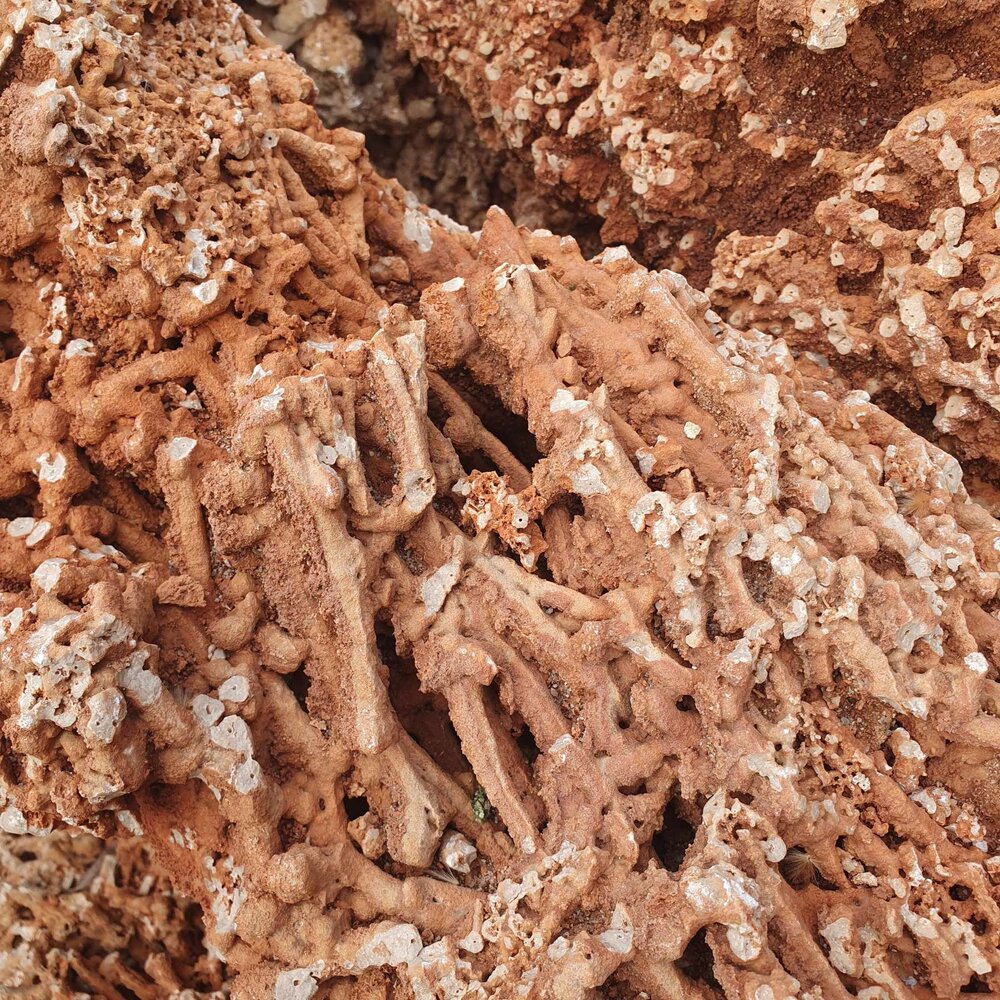Spaghetti Decorative Stone for Rock Gardens & Landscaping – per kg