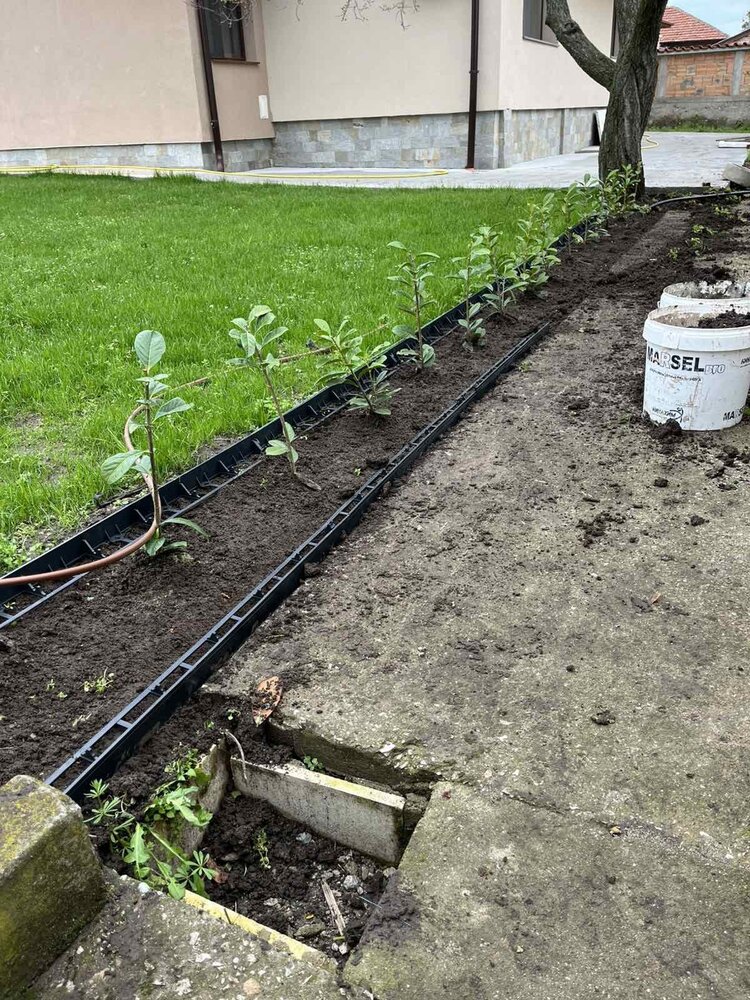 Garden Lawn Edging 100×4.5×8 cm + 2 Ground Spikes