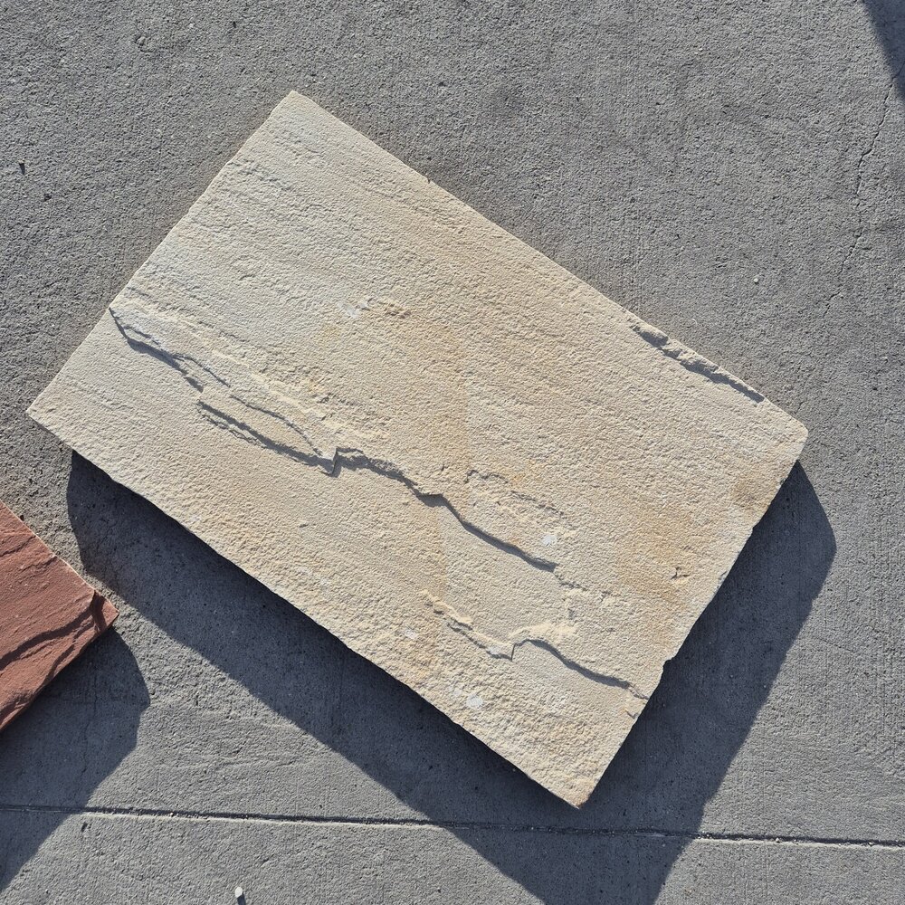 Градинска стъпка от пясъчник Фосил 60×40×3 см – цена/бр.