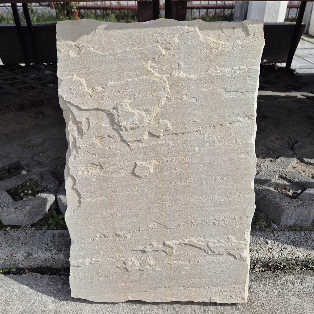 Градинска стъпка от пясъчник Фосил 60×40×3 см – цена/бр.