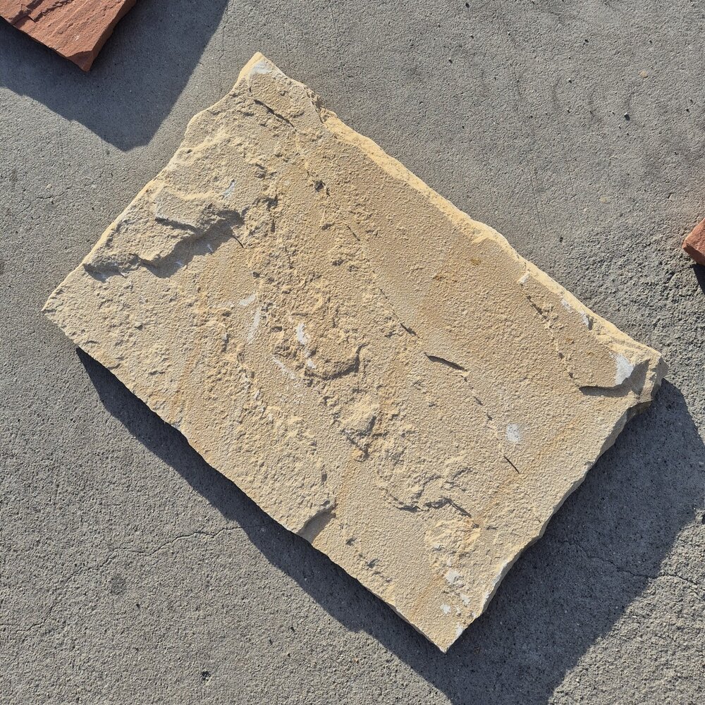 Градинска стъпка от пясъчник Фосил 60×40×3 см – цена/бр.