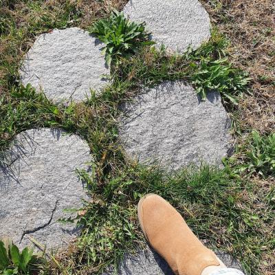Natural Gneiss Garden Stepping Stone 20–35 cm - Price per Piece