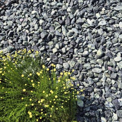 Green Decorative Marble Stones 1 Ton for Garden and Yard