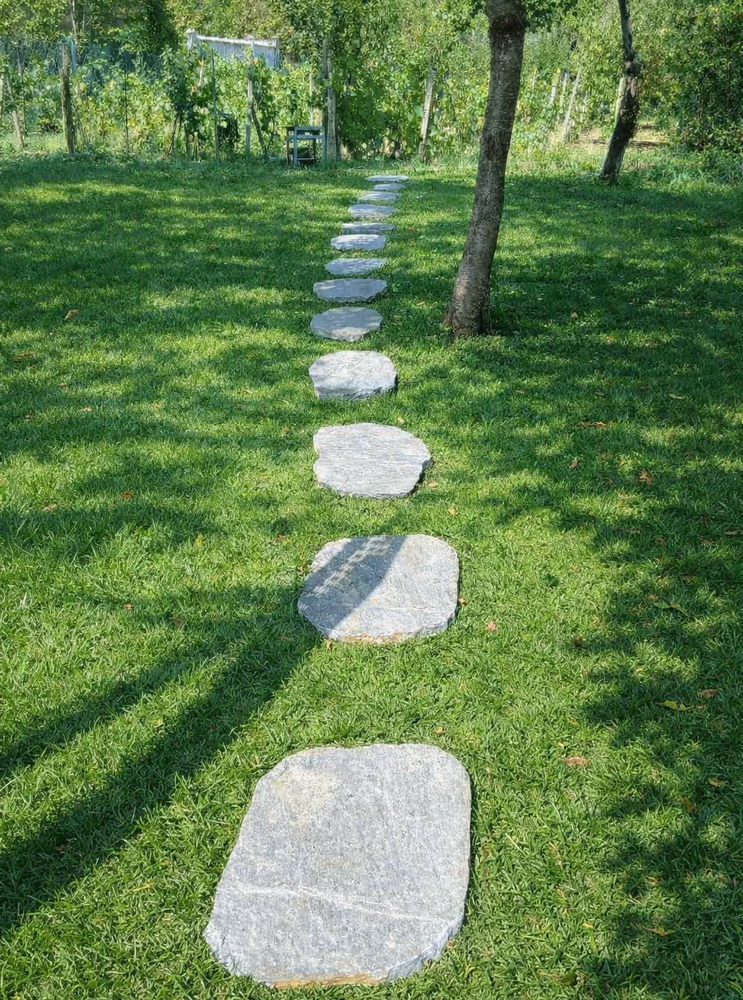 MAXI Natural Gneiss Japanese Garden Stepping Stone over 45 cm - Price per Piece