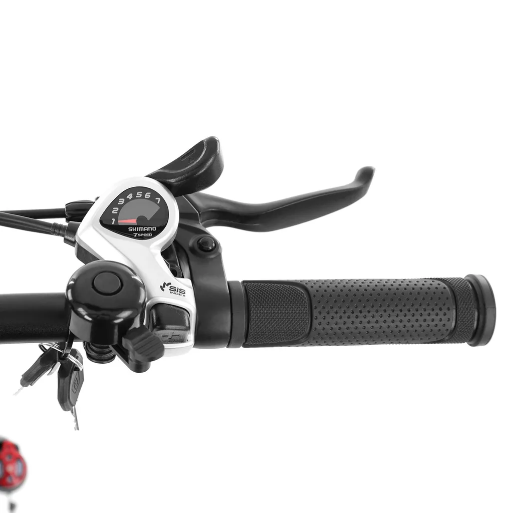 Electric Bicycle HECHT COMPOS XL GREY, 250 W, 36 V, 13 Ah, 25 km/h, 20”, Foldabl