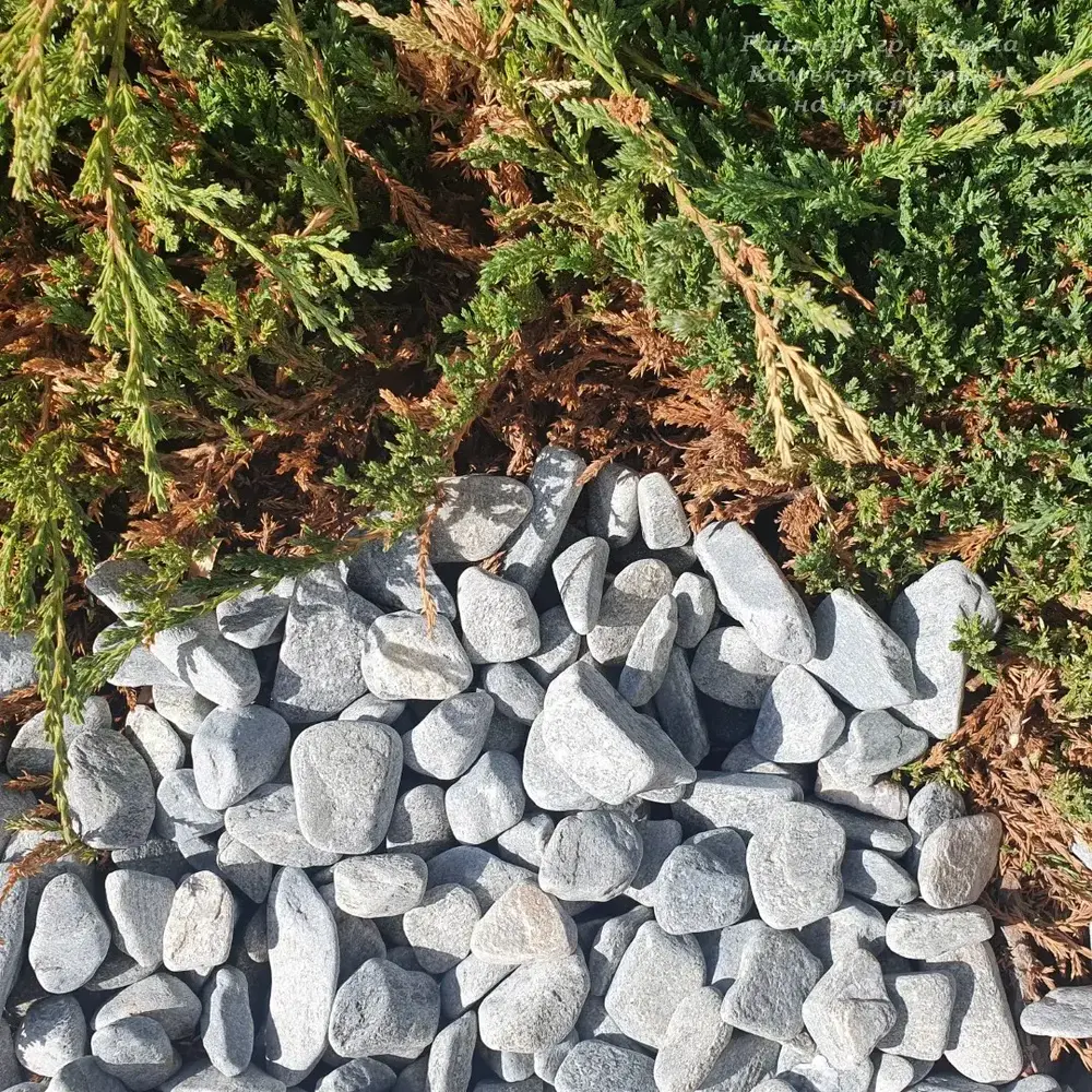 Grey-Blue Decorative Gneiss Stones 20 kg for Garden and Yard